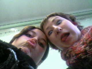 les cours